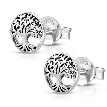 Silver Ear Studs Jewellery Price in Pakistan